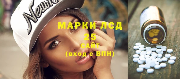 спайс Каменка