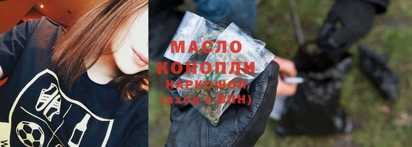 спайс Каменка