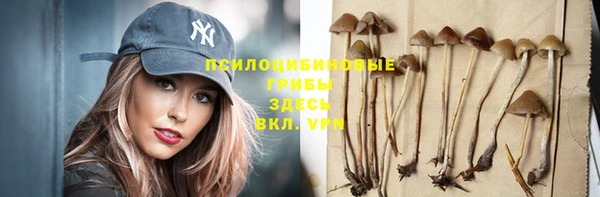 прущая мука Карталы