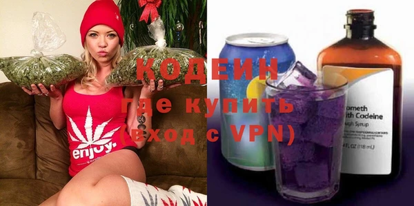 спайс Каменка