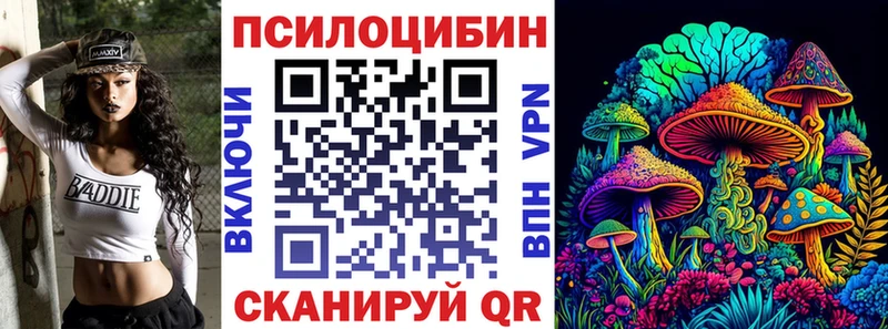 Купить где  Западная Двина  Галлюциногенные грибы GOLDEN TEACHER 